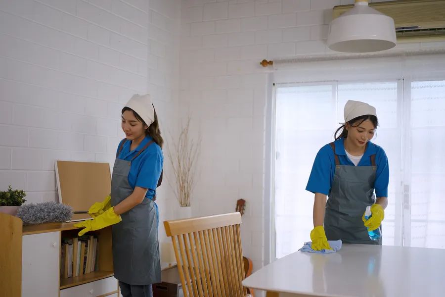 What Does A Move-in Cleaning Include Olympia, WA 98516 What Does A Move-in Cleaning Include Olympia, WA 98516